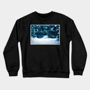 Hemlock Ravine Park 12 Crewneck Sweatshirt